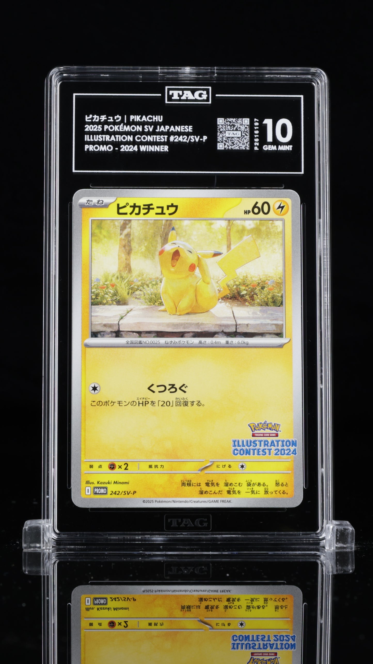 Pikachu- #242 Illustration Contest Promo- TAG 10