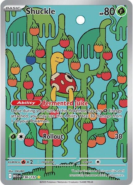 #136 Mega Evolutions- Shuckle