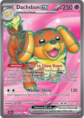 #160 Stellar Crown- Dachsbun ex
