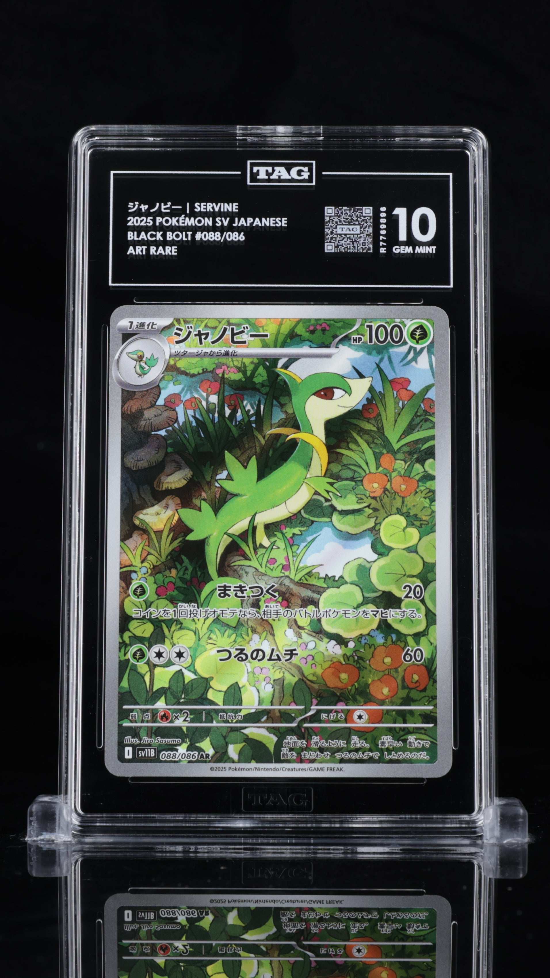 Servine- #88 Black Bolt Japanese- TAG 10