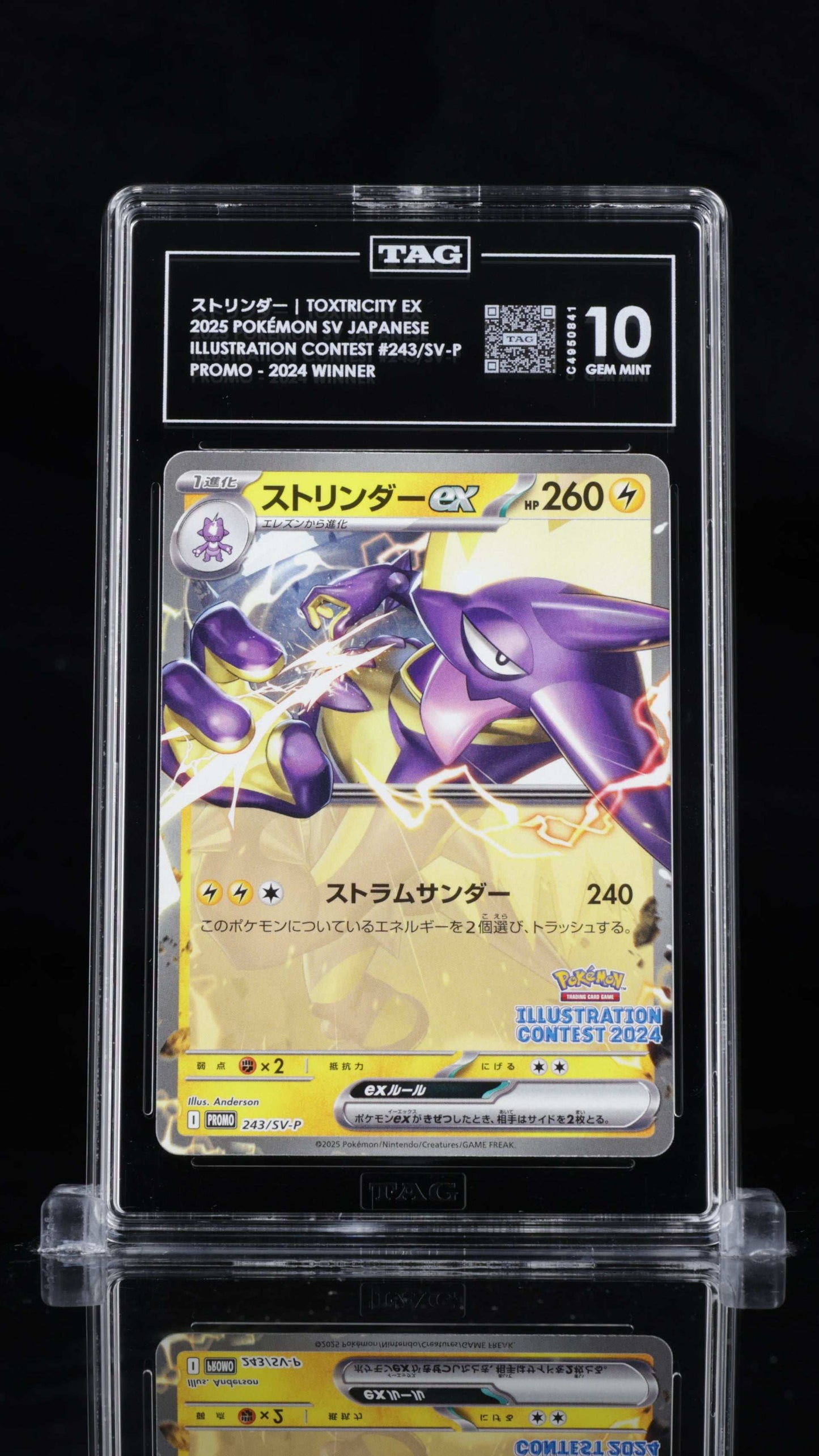 Toxtricity EX - #243 Pokemon Japanese Illustration Contest 2024 - TAG  10