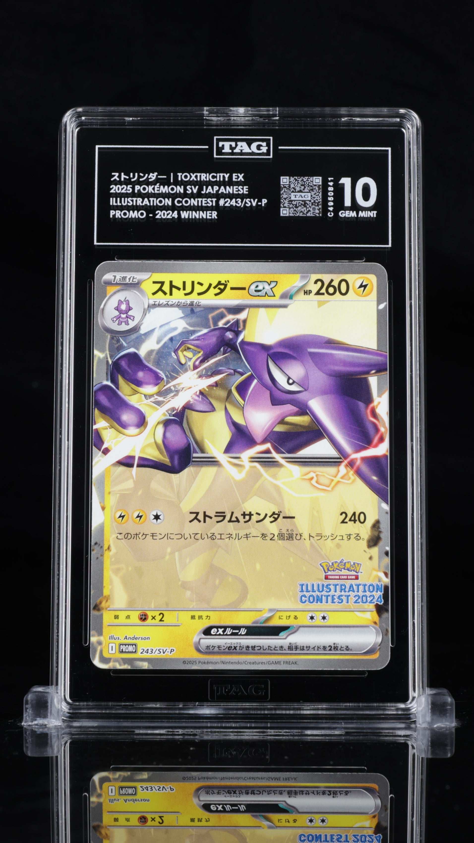 Toxtricity EX - #243 Pokemon Japanese Illustration Contest 2024 - TAG  10